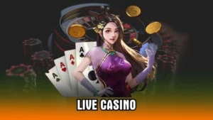 Live Casino – Sòng Bài Chân Thực Cùng Dealer Chuyên Nghiệp